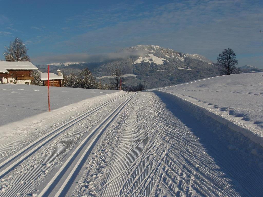 Ferienwohnungen Salvenmoser Johanna Scheffau am Wilden Kaiser Esterno foto