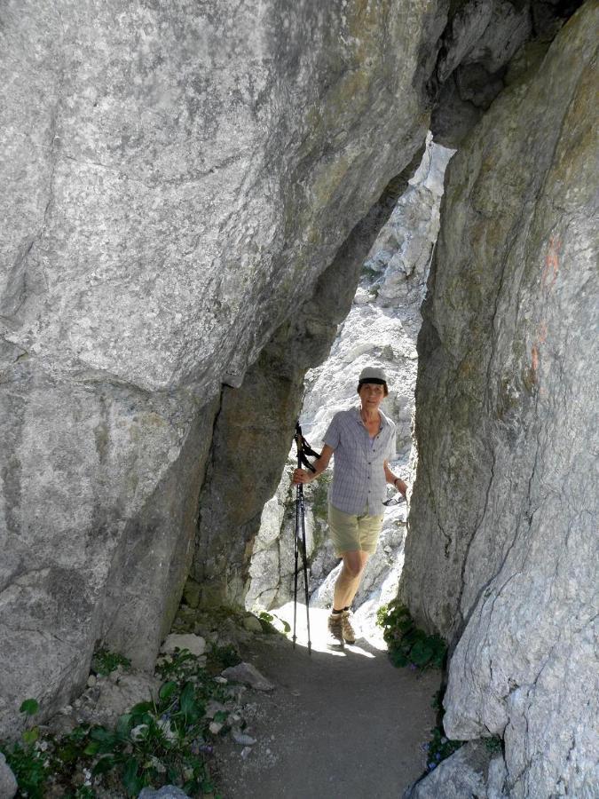 Ferienwohnungen Salvenmoser Johanna Scheffau am Wilden Kaiser Esterno foto