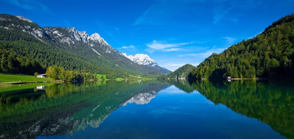 Ferienwohnungen Salvenmoser Johanna Scheffau am Wilden Kaiser Esterno foto