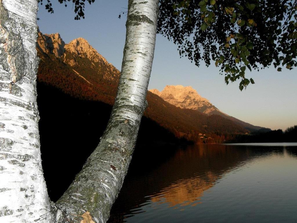 Ferienwohnungen Salvenmoser Johanna Scheffau am Wilden Kaiser Esterno foto