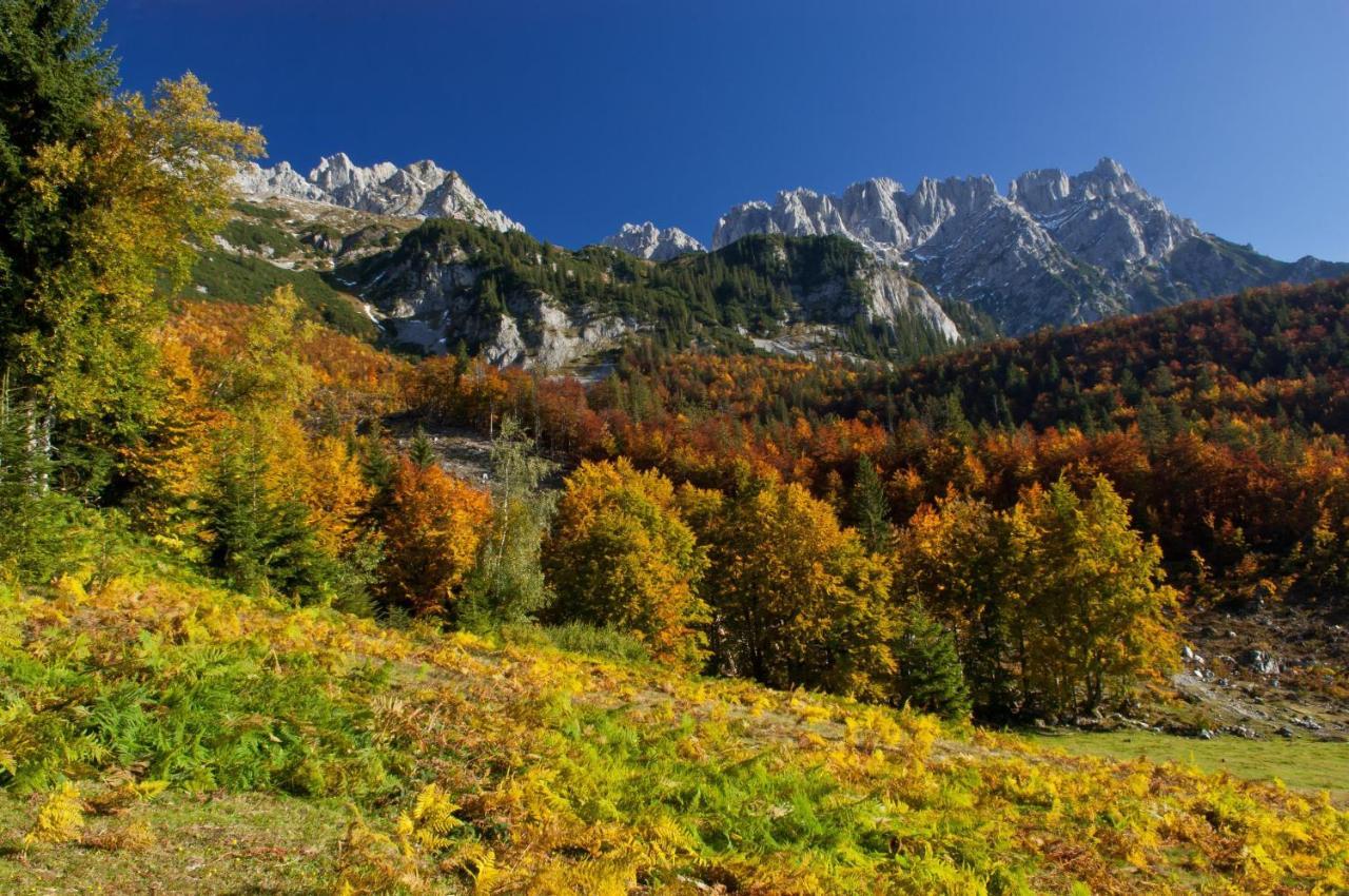 Ferienwohnungen Salvenmoser Johanna Scheffau am Wilden Kaiser Esterno foto
